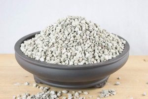 Đá Pumice có tác dụng gì? - OnlyPlants VN