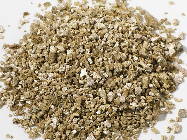 Đá Vermiculite là gì? - OnlyPlants VN