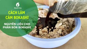 Cách làm cám Bokashi - OnlyPlants VN