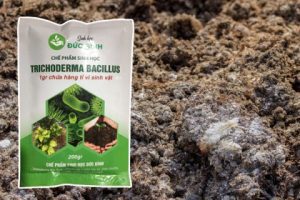 Nấm ủ Trichoderma - OnlyPlants VN