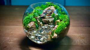 Thiết kế tiểu cảnh terrarium với suối nước chảy - OnlyPlants VN