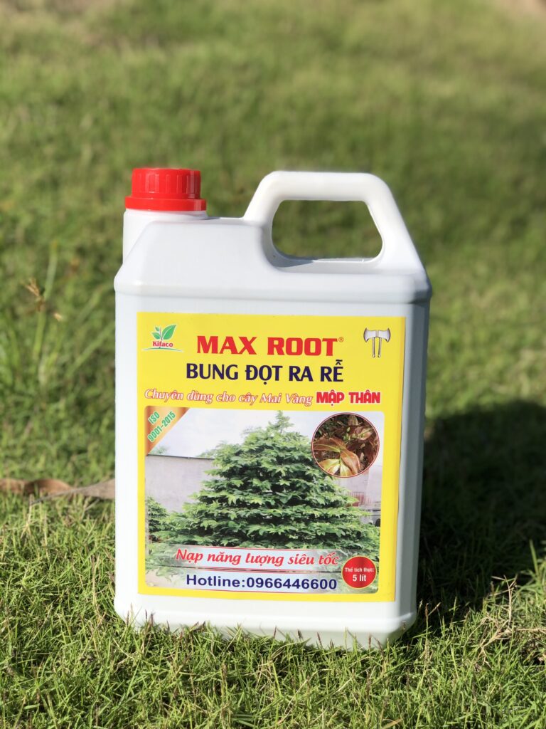 Max Root cho mai vàng - OnlyPlants VN