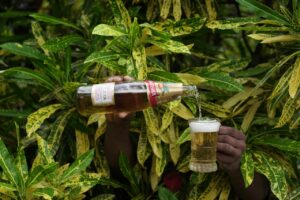 Hướng dẫn cách tưới bia cho cây - OnlyPlants VN