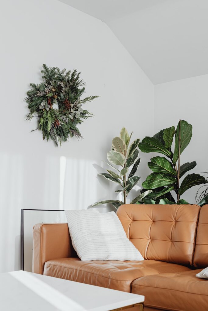 Trang trí phòng khách bằng cây xanh - OnlyPlants VN