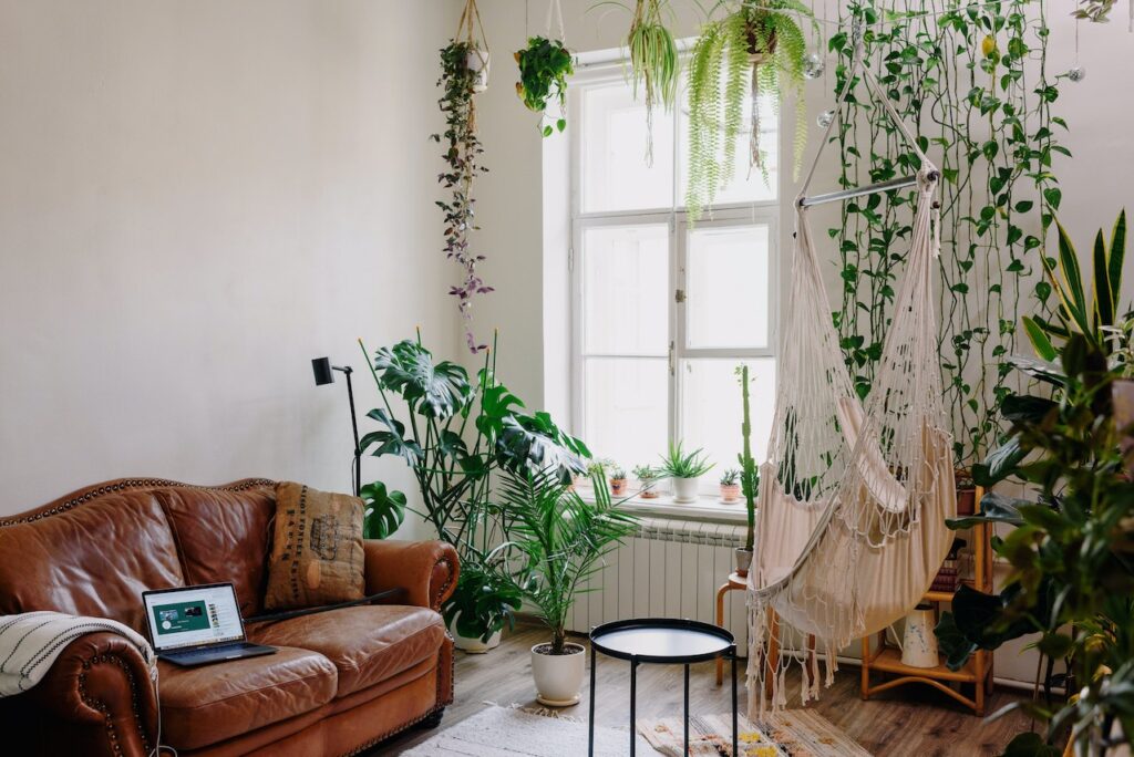 Decor phòng khách bằng cây xanh - OnlyPlants VN