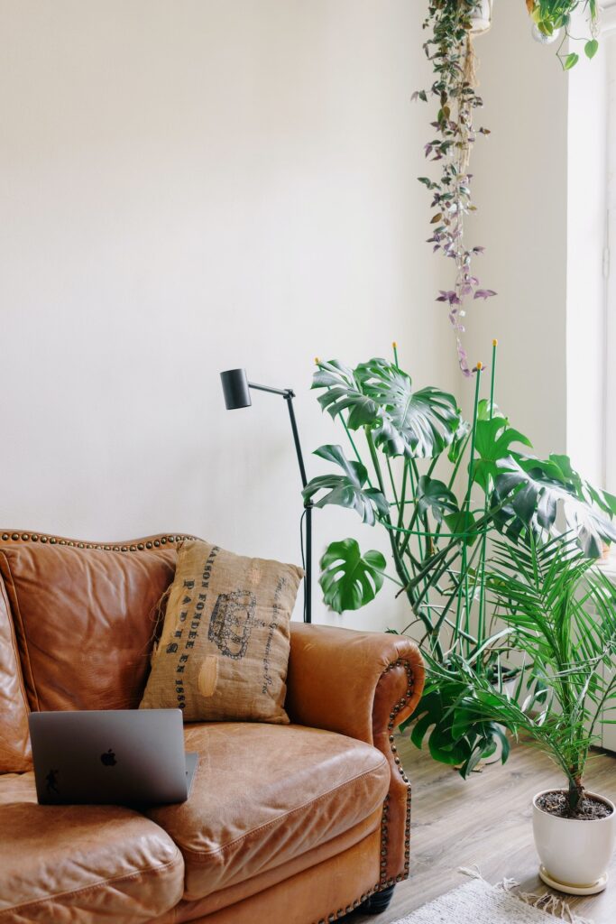 Decor phòng khách bằng cây xanh - OnlyPlants VN