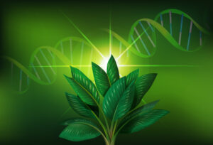 Tạo giống cây trồng bằng phương pháp đột biến gen - OnlyPlants VN